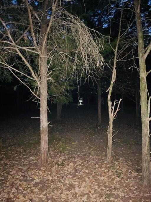הוילה Bastrop Tiny Disc Golf Retreat מראה חיצוני תמונה