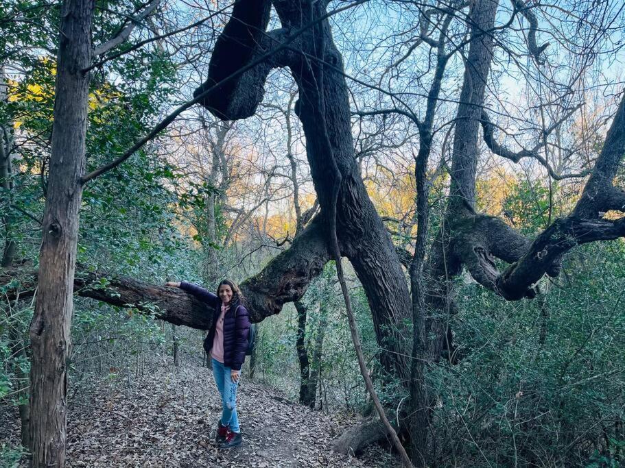 הוילה Bastrop Tiny Disc Golf Retreat מראה חיצוני תמונה